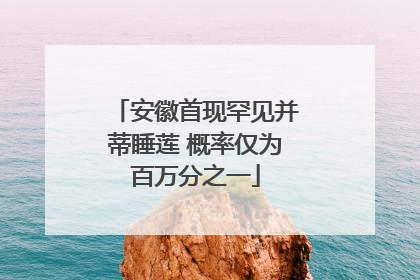 安徽首现罕见并蒂睡莲 概率仅为百万分之一