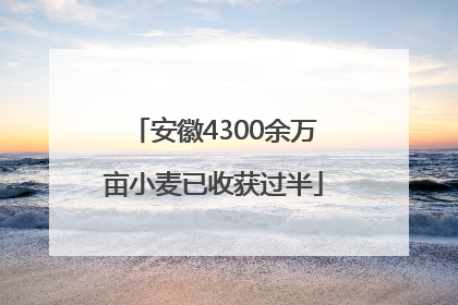 安徽4300余万亩小麦已收获过半