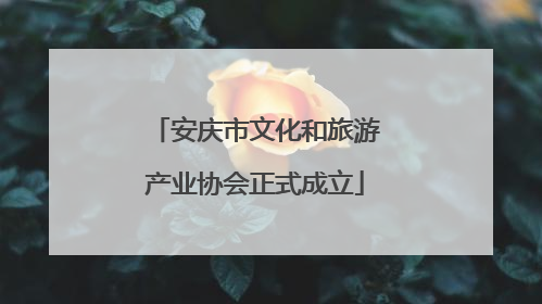 安庆市文化和旅游产业协会正式成立