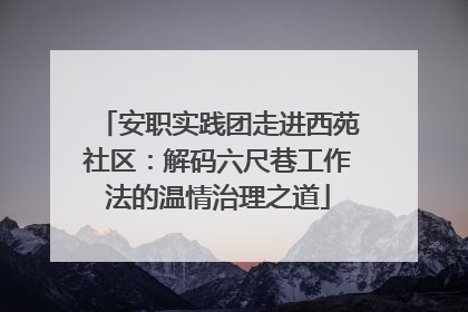 安职实践团走进西苑社区：解码六尺巷工作法的温情治理之道