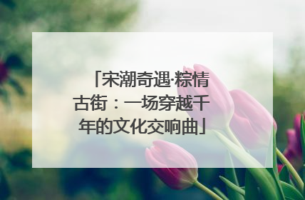 宋潮奇遇·粽情古街：一场穿越千年的文化交响曲