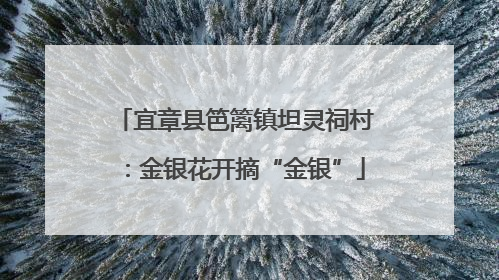 宜章县笆篱镇坦灵祠村：金银花开摘“金银”