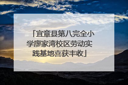 宜章县第八完全小学廖家湾校区劳动实践基地喜获丰收