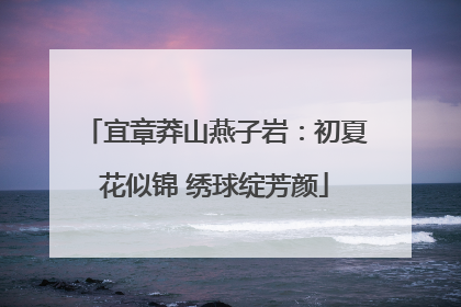 宜章莽山燕子岩：初夏花似锦 绣球绽芳颜
