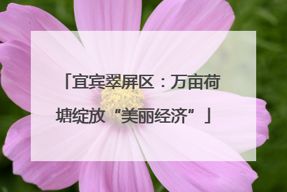 宜宾翠屏区：万亩荷塘绽放“美丽经济”