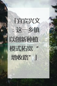 宜宾兴文：这一乡镇以创新种植模式拓宽“增收路”