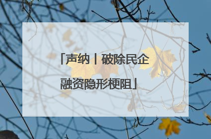 声纳丨破除民企融资隐形梗阻