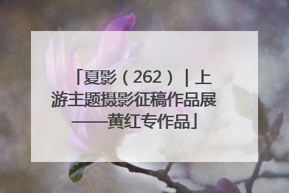 夏影（262）｜上游主题摄影征稿作品展——黄红专作品