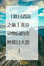 夏日清凉之旅丨北京动物园的奇妙夏日大赏