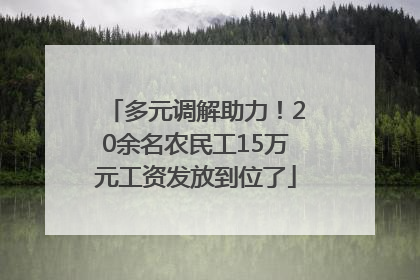 多元调解助力！20余名农民工15万元工资发放到位了