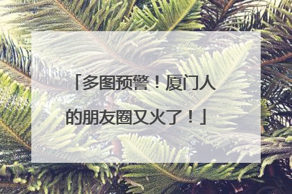 多图预警！厦门人的朋友圈又火了！