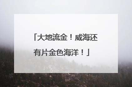 大地流金！威海还有片金色海洋！