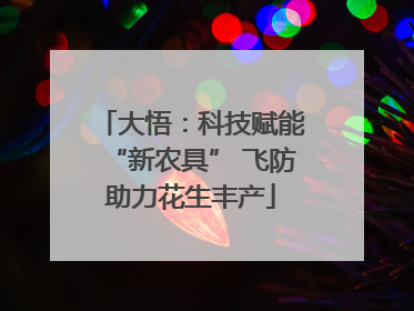 大悟：科技赋能“新农具” 飞防助力花生丰产