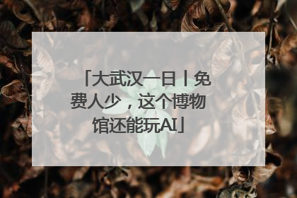 大武汉一日丨免费人少，这个博物馆还能玩AI