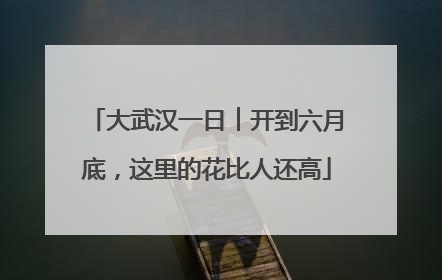 大武汉一日︱开到六月底，这里的花比人还高