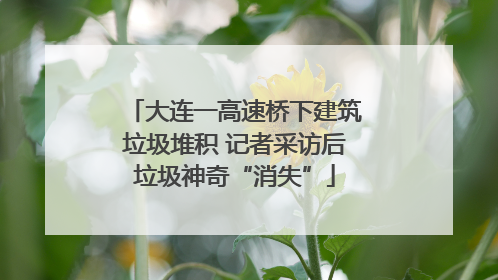大连一高速桥下建筑垃圾堆积 记者采访后垃圾神奇“消失”