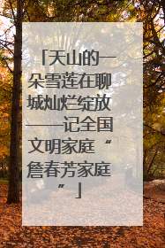 天山的一朵雪莲在聊城灿烂绽放——记全国文明家庭“詹春芳家庭”