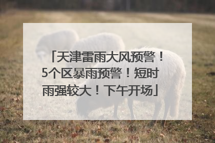 天津雷雨大风预警！5个区暴雨预警！短时雨强较大！下午开场