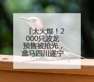 太火爆！2000只波龙预售被抢光，盒马四川遂宁首店开业