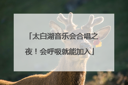 太白湖音乐会合唱之夜！会呼吸就能加入