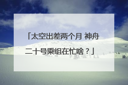 太空出差两个月 神舟二十号乘组在忙啥？