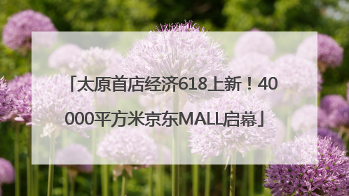 太原首店经济618上新！40000平方米京东MALL启幕