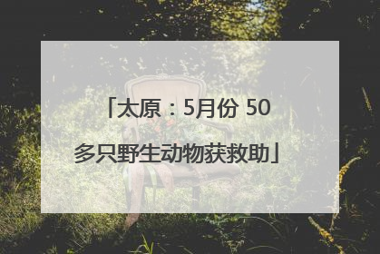 太原：5月份 50多只野生动物获救助