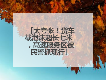 太夸张！货车载泡沫超长七米，高速服务区被民警抓现行