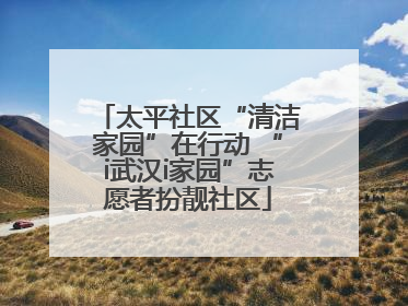 太平社区“清洁家园”在行动 “i武汉i家园”志愿者扮靓社区