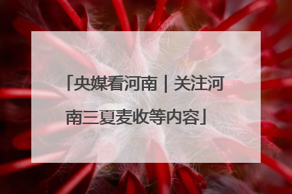 央媒看河南｜关注河南三夏麦收等内容