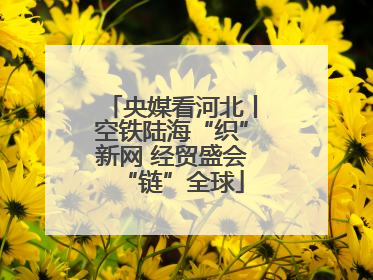 央媒看河北丨空铁陆海“织”新网 经贸盛会“链”全球