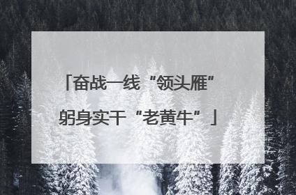 奋战一线“领头雁” 躬身实干“老黄牛”