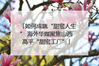 如何成就“甜蜜人生” 海外华媒聚焦山西高平“甜蜜工厂”
