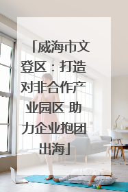 威海市文登区：打造对非合作产业园区 助力企业抱团出海