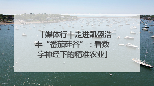 媒体行｜走进凯盛浩丰“番茄硅谷”：看数字神经下的精准农业