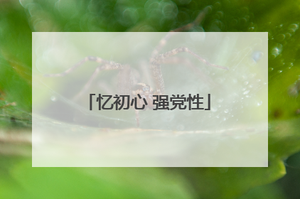 忆初心 强党性