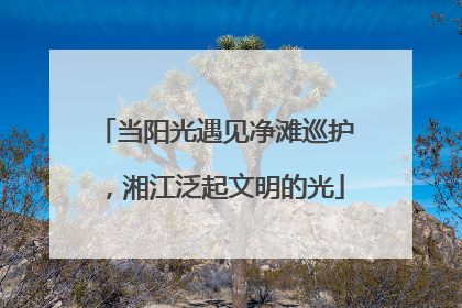 当阳光遇见净滩巡护，湘江泛起文明的光