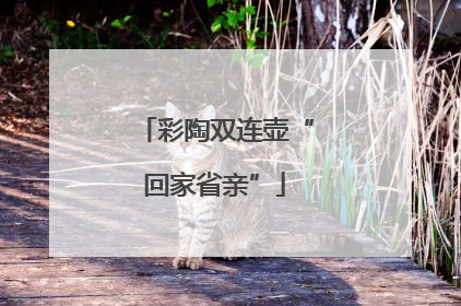 彩陶双连壶“回家省亲”