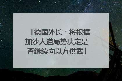 德国外长:将根据加沙人道局势决定是否继续向以方供武