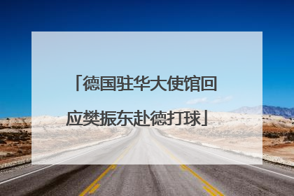 德国驻华大使馆回应樊振东赴德打球