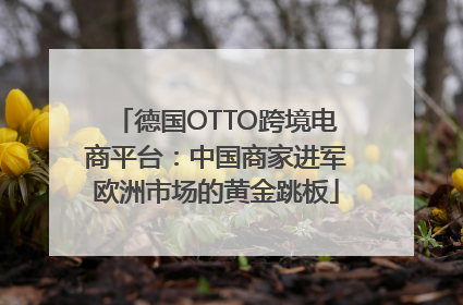 德国OTTO跨境电商平台：中国商家进军欧洲市场的黄金跳板