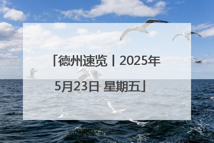 德州速览丨2025年5月23日 星期五