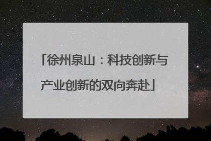 徐州泉山：科技创新与产业创新的双向奔赴