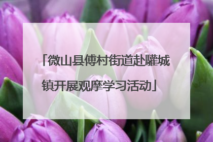微山县傅村街道赴驩城镇开展观摩学习活动