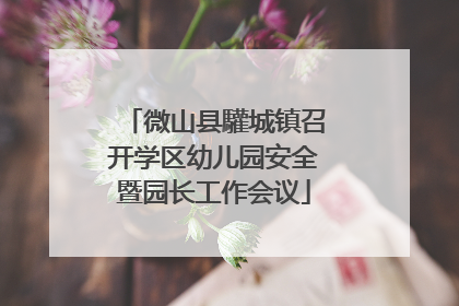 微山县驩城镇召开学区幼儿园安全暨园长工作会议