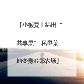 小板凳上结出“共享果” 私垦菜地变身睦邻农场