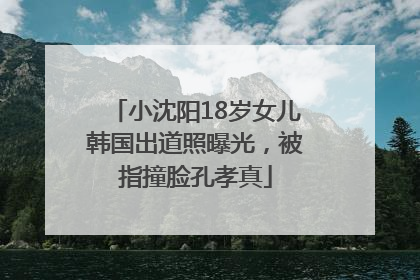 小沈阳18岁女儿韩国出道照曝光，被指撞脸孔孝真