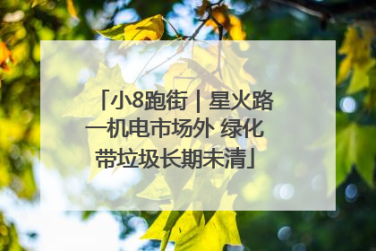 小8跑街｜星火路一机电市场外 绿化带垃圾长期未清
