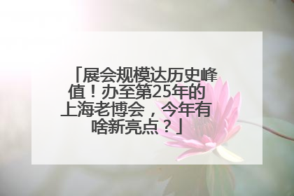 展会规模达历史峰值！办至第25年的上海老博会，今年有啥新亮点？