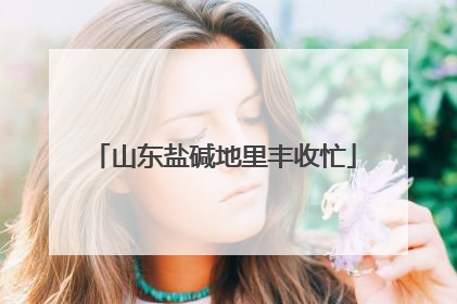 山东盐碱地里丰收忙